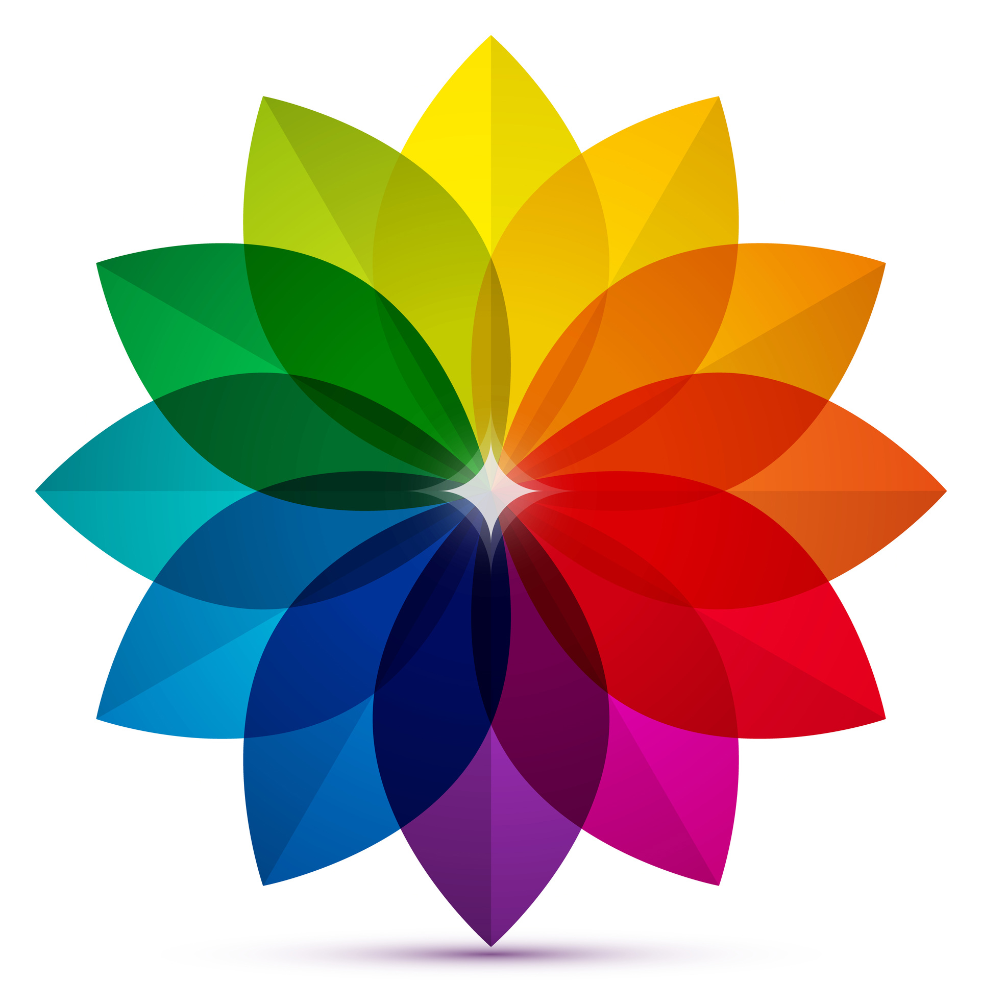 Colored Petals Icon